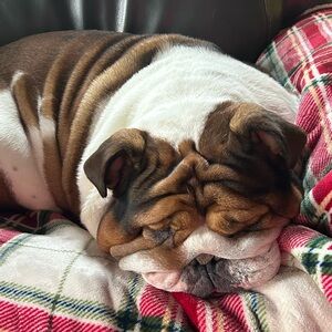 Meet your Posher, Summer